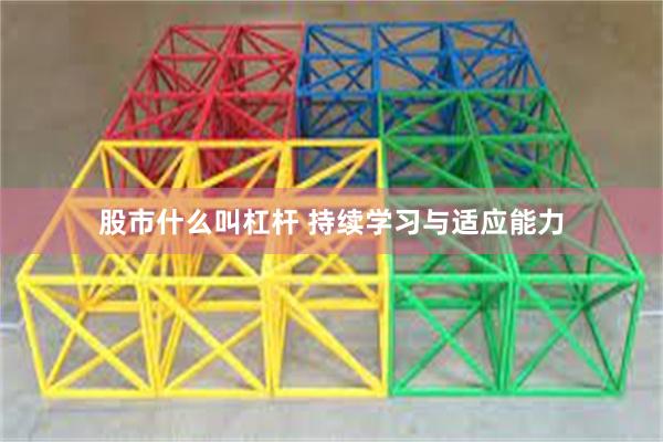 股市什么叫杠杆 持续学习与适应能力