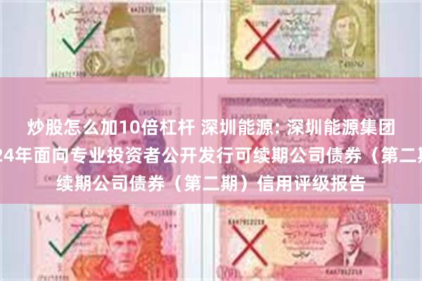 炒股怎么加10倍杠杆 深圳能源: 深圳能源集团股份有限公司2024年面向专业投资者公开发行可续期公司债券（第二期）信用评级报告