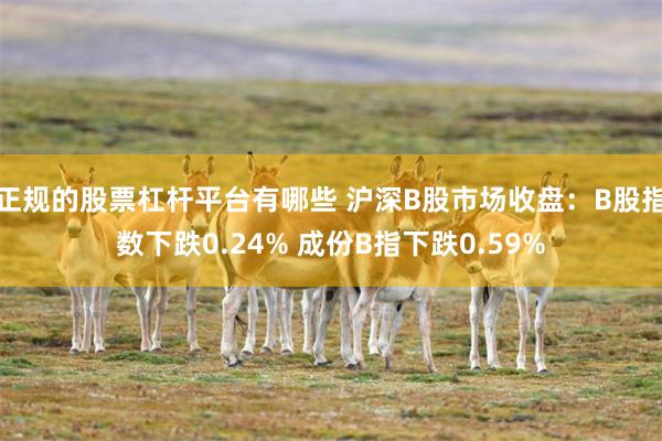 正规的股票杠杆平台有哪些 沪深B股市场收盘：B股指数下跌0.24% 成份B指下跌0.59%