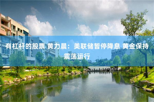 有杠杆的股票 黄力晨：美联储暂停降息 黄金保持震荡运行