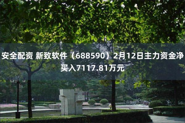 安全配资 新致软件（688590）2月12日主力资金净买入7117.81万元