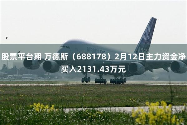 股票平台期 万德斯（688178）2月12日主力资金净买入2131.43万元