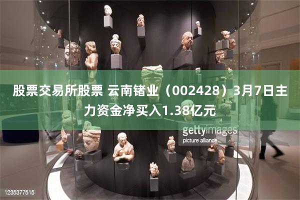 股票交易所股票 云南锗业（002428）3月7日主力资金净买入1.38亿元