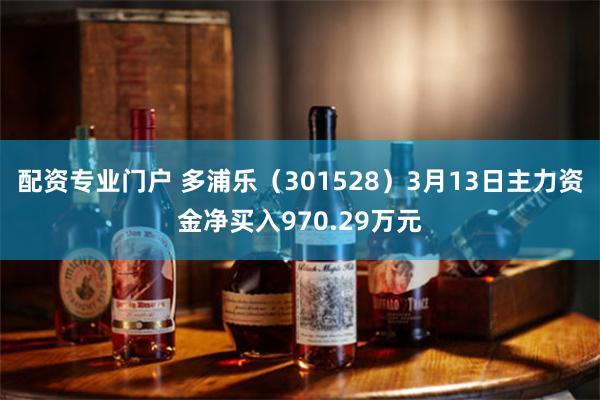 配资专业门户 多浦乐（301528）3月13日主力资金净买入970.29万元