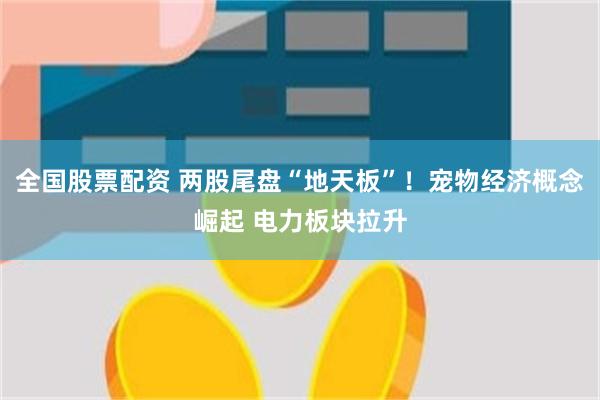 全国股票配资 两股尾盘“地天板”！宠物经济概念崛起 电力板块拉升