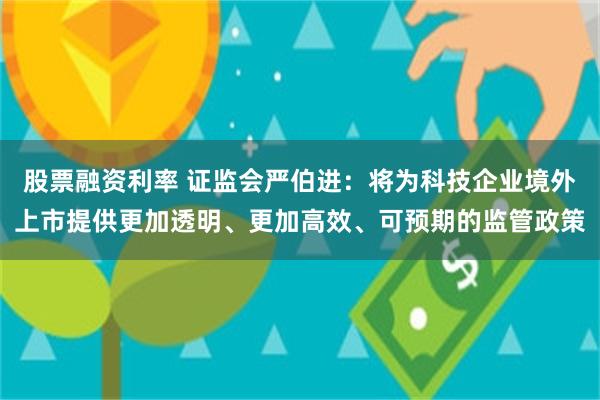 股票融资利率 证监会严伯进：将为科技企业境外上市提供更加透明、更加高效、可预期的监管政策