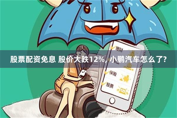 股票配资免息 股价大跌12%, 小鹏汽车怎么了?