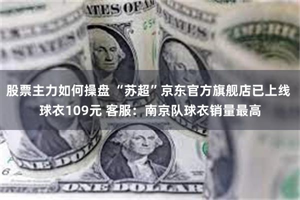 股票主力如何操盘 “苏超”京东官方旗舰店已上线 球衣109元 客服：南京队球衣销量最高
